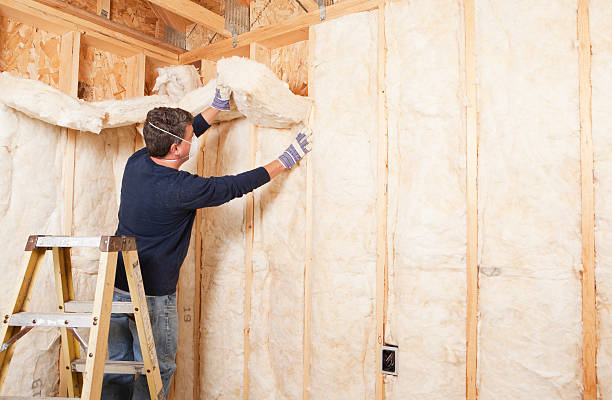 Best Spray Foam Insulation  in Auburn, NY